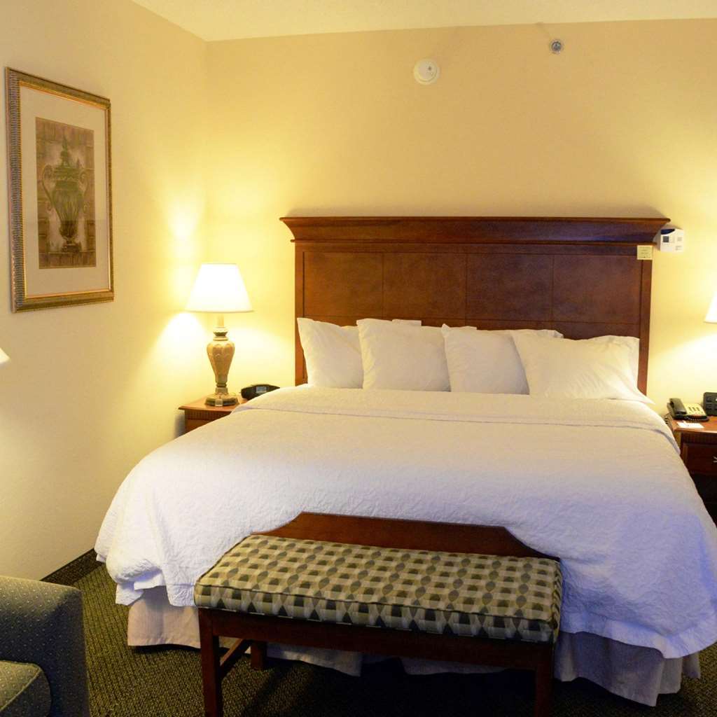 Hampton Inn & Suites Birmingham-Hoover-Galleria Szoba fotó